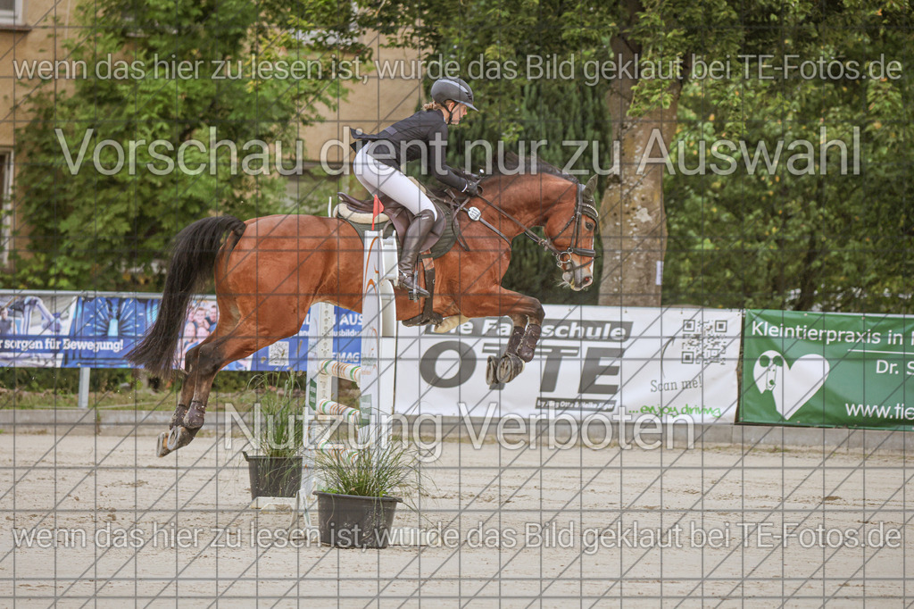 2025-09-22_09-34-32_MG_3626 | TE-Fotos