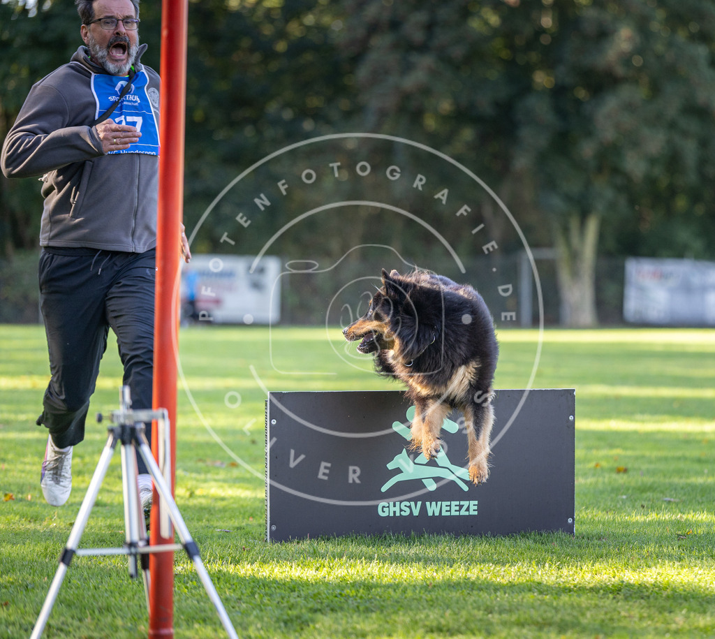 Pfotenfotografie.de_DV3A3539 | Hundefotografie, Tierfotograf, Pfotenfotografie, Fotoshooting Hund, Hunde Portrait, Hundesport, Hundeportraits, Heideshooting, Hunde, Sportfotograf, Hundefotograf, Turnierhundsport, THS, canicross - Realisiert mit Pictrs.com