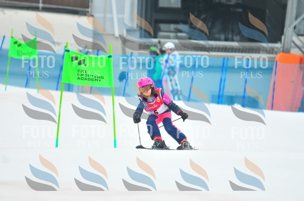 C0553 | holidayphoto