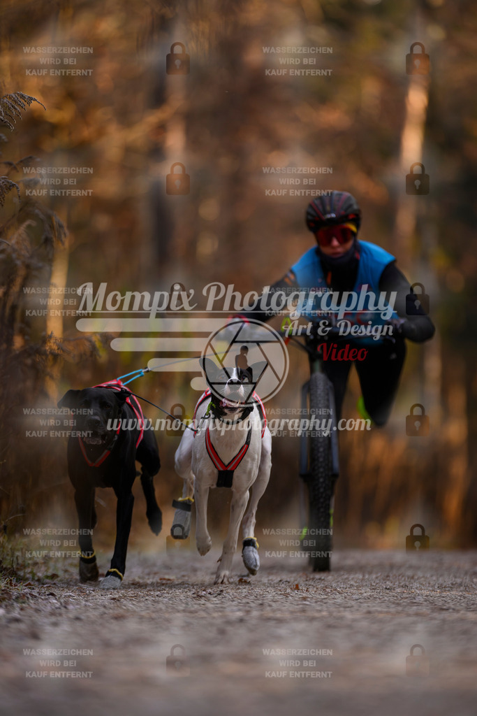 MompixPhotography_DM_AKDM_SO_2025_Scooter-6 | PayLife