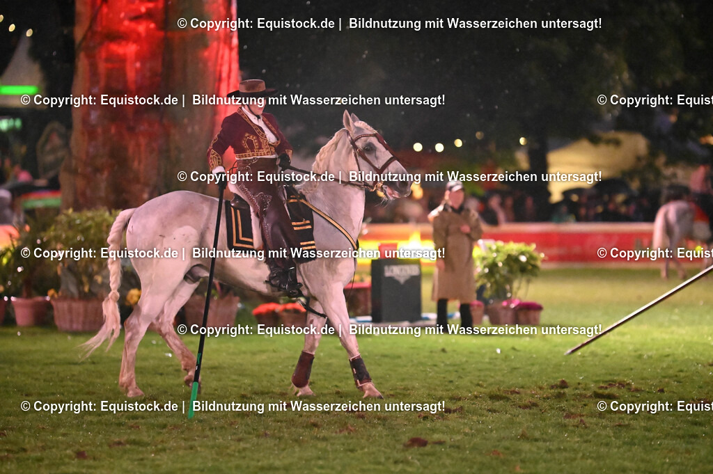 20240517_Lange-Pferdenacht_0730 | Foto: Thomas Hartig