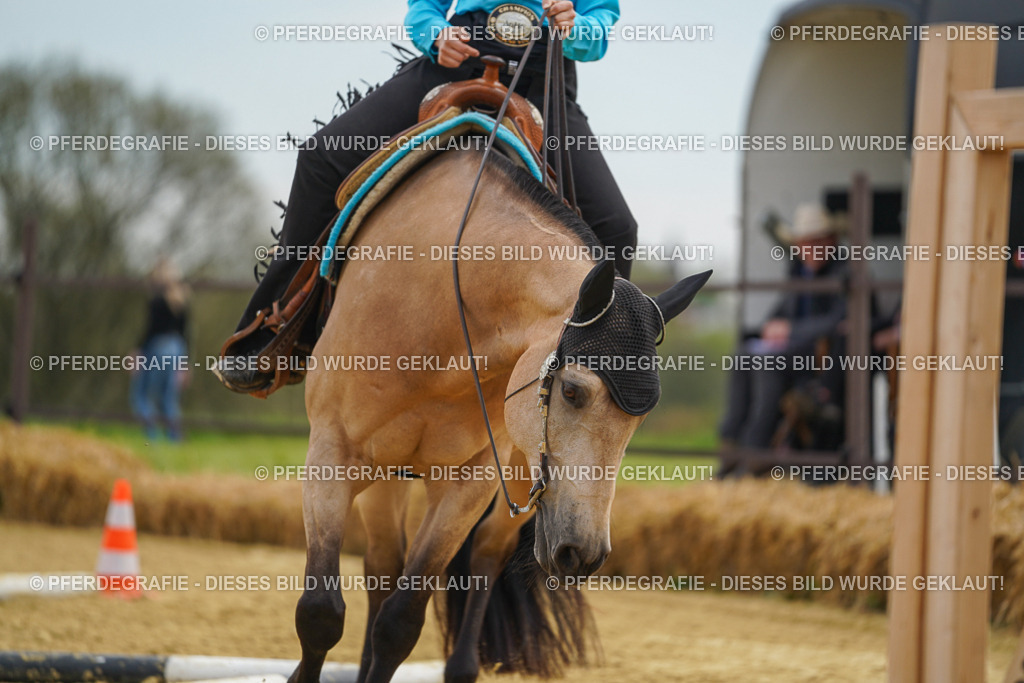 DSC03360 | Pferdegrafie