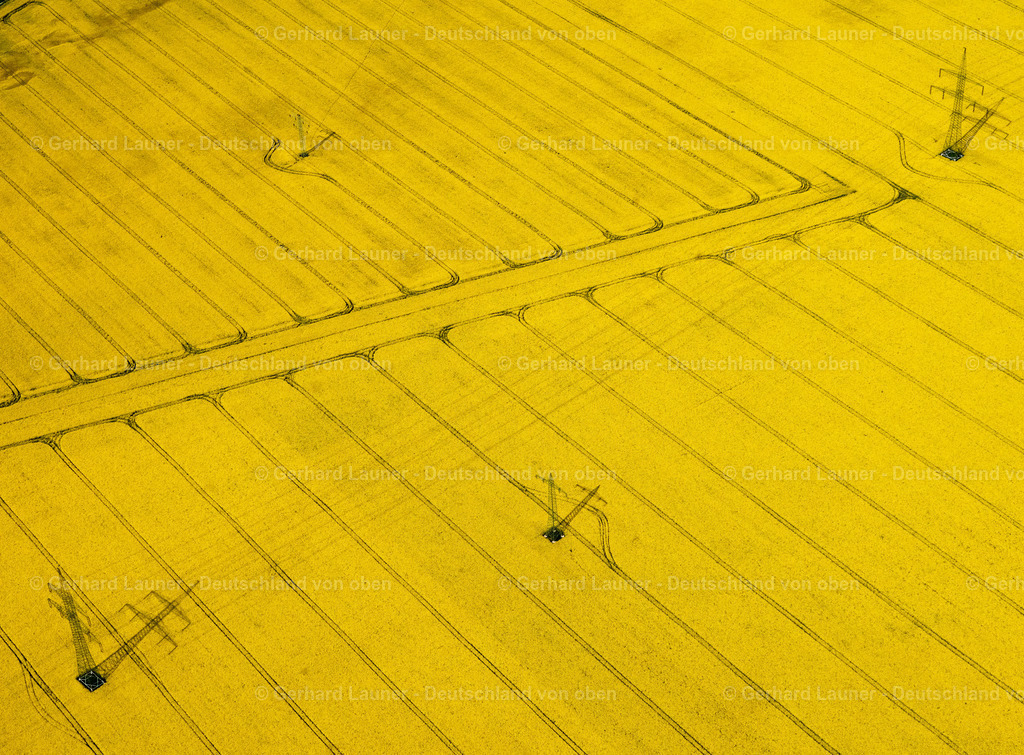 2709786 | Überlandleitung über Rapsfelder  bei Zerben