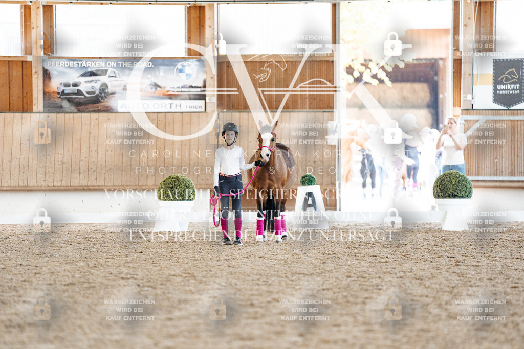 CK907087 | Turnierfotografie Pferdefotografie Trier Rheinland-Pfalz Pferdesport Reitsport Tierfotografie Sportfotografie Pferdevideo Pferdevideografie Equestrianvideography equestrianphotography  - Realisiert mit Pictrs.com