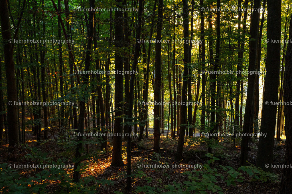 fuernholzer_251004-C3-131 | © Christian Fuernholzer | fuernholzer photography