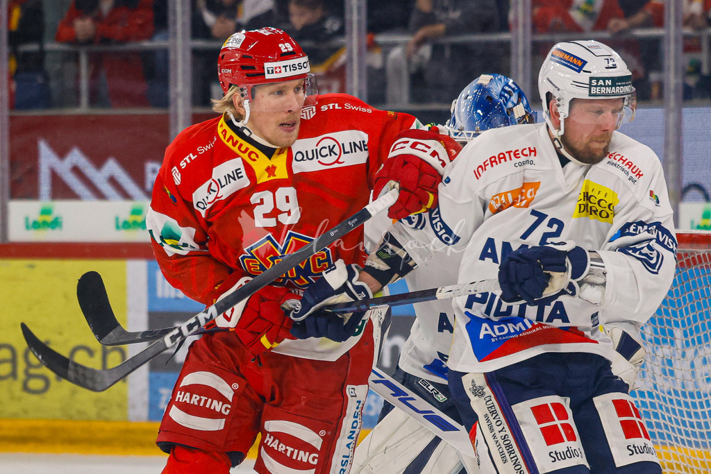 EHCB vs HCAP 20260115_wb-4580 | Sportbilder, Sportfotograf, Hochzeits- und Eventfotografin, Flugshows, Portraits und Tiershooting, Aviation, Downhill, Nationalleague, Swissleague, International