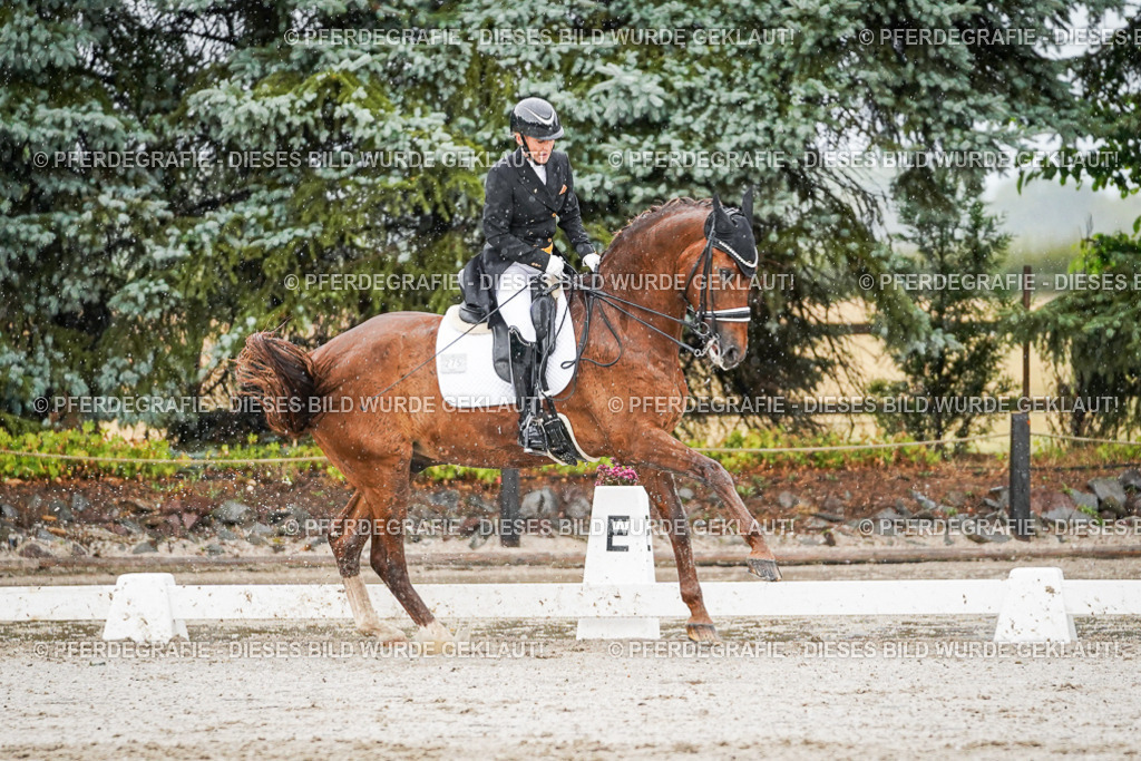 DSC09087 | Pferdegrafie