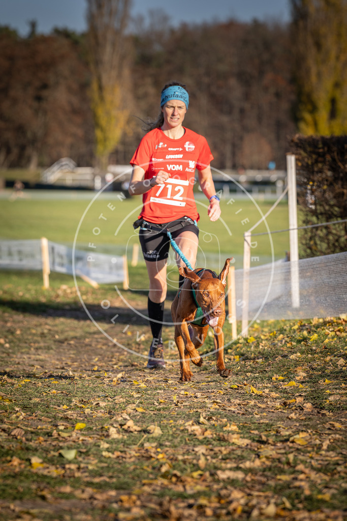 CaniXpix_DV3A1667 | Hundefotografie, Tierfotograf, Pfotenfotografie, Fotoshooting Hund, Hunde Portrait, Hundesport, Hundeportraits, Heideshooting, Hunde, Sportfotograf, Hundefotograf, Turnierhundsport, THS,  - Realisiert mit Pictrs.com