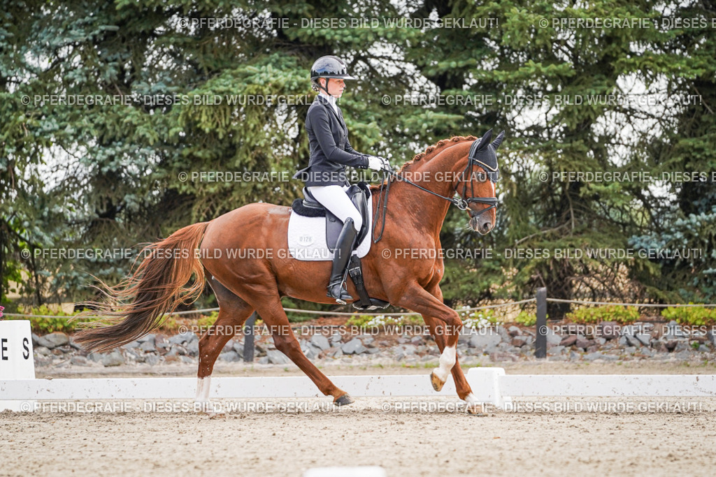 DSC01283 | Pferdegrafie