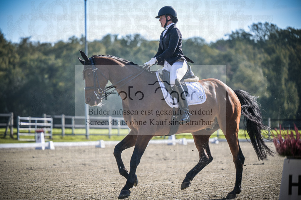 DOS_0121 | Entdecke hochwertige Reitturnierfotos von Foto Oger. Professionell, emotional und authentisch – jetzt Lieblingsmomente im Shop bestellen.Deutschlandweite Turnierfotografie. - Realisiert mit Pictrs.com