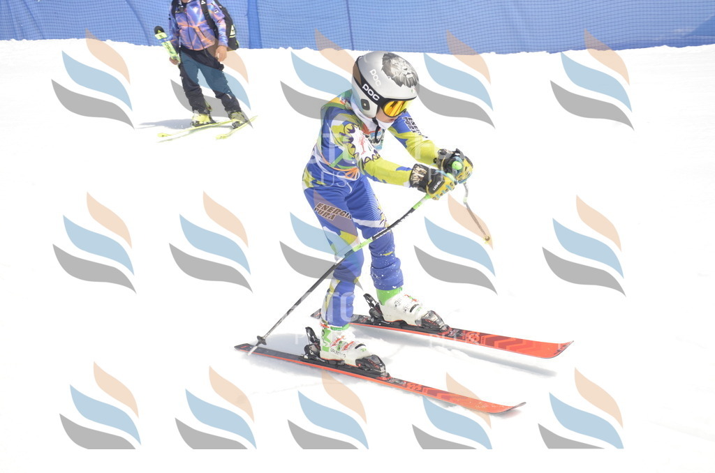 _ELE9080 | holidayphoto