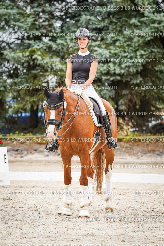 DSC08043 | Pferdegrafie