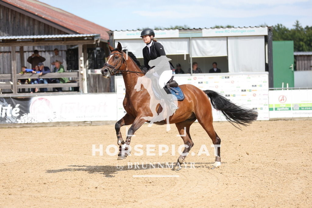 0P6A5226 | Willkommen bei Brunnmayr - Design & Fotografie – Ihrem Spezialisten für Reitturniere und Pferdeveranstaltungen in Oberösterreich, Salzburg und Bayern! Seit über 17 Jahren sind wir leidenschaftlich dabei.