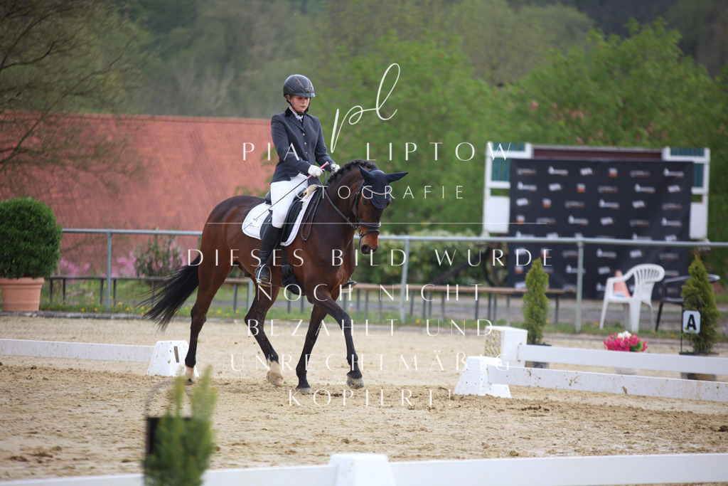 IMGT7261 | pl-fotografie