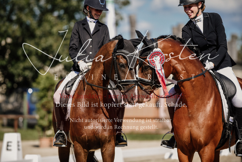 DSC_9798 | Pferde- und Turnierfotografie in Westsachsen. Pferdeportraits, Auftragszeichnungen und intuitive Kunst.