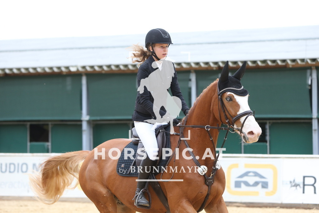 DL2Q0869 | Willkommen bei Brunnmayr - Design & Fotografie – Ihrem Spezialisten für Reitturniere und Pferdeveranstaltungen in Oberösterreich, Salzburg und Bayern! Seit über 17 Jahren sind wir leidenschaftlich dabei.