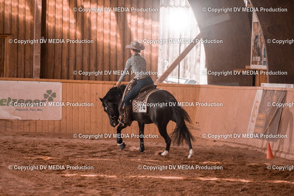 NE300734 | dv-media-shop - Realisiert mit Pictrs.com