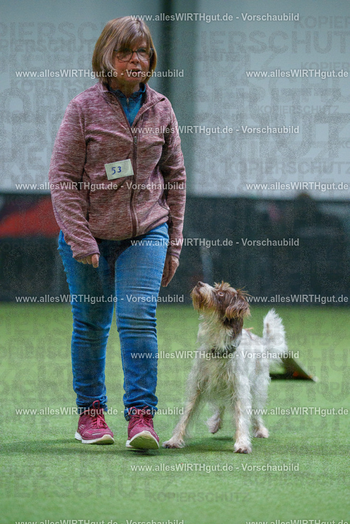 7R502236 | Professionelle Tierfotografie in Mönchengladbach von Daniel Wirth (allesWIRTHgut). Liebevolle & natürliche Bilder von Hunden & Katzen für unvergessliche Erinnerungen.