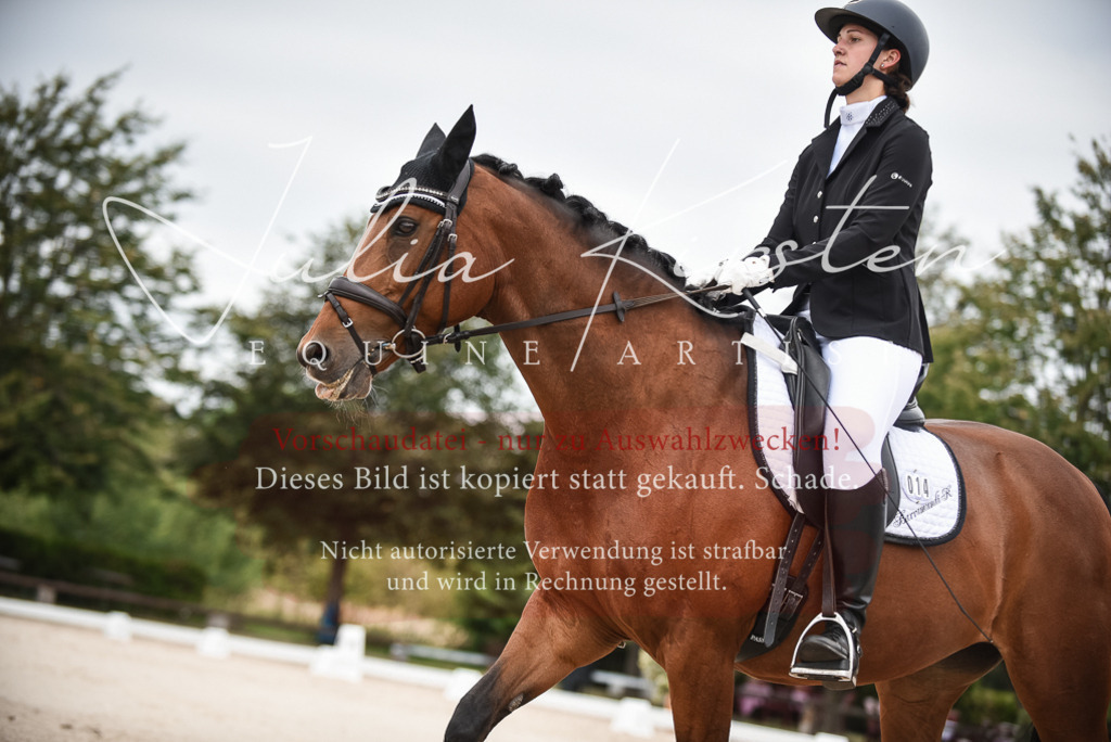 DSC_7971 | Pferde- und Turnierfotografie in Westsachsen. Pferdeportraits, Auftragszeichnungen und intuitive Kunst.
