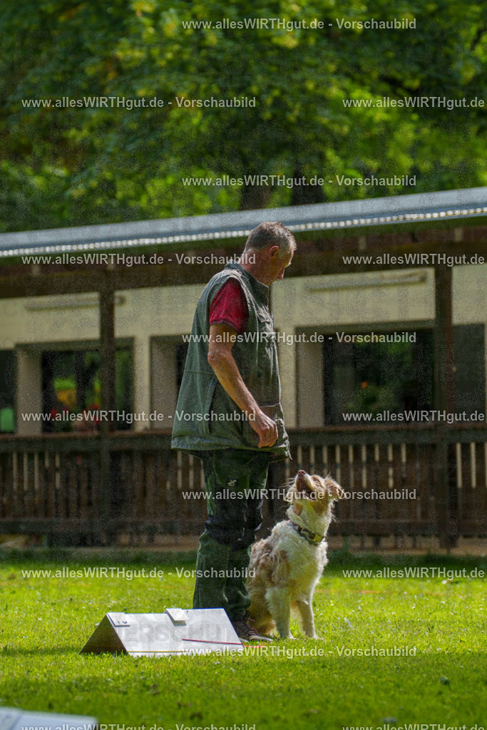 @allesWIRTHgut_Tierfotografie - www.allesWIRTHgut.de - 100130-7R507963 | Professionelle Tierfotografie in Mönchengladbach von Daniel Wirth (allesWIRTHgut). Liebevolle & natürliche Bilder von Hunden & Katzen für unvergessliche Erinnerungen.