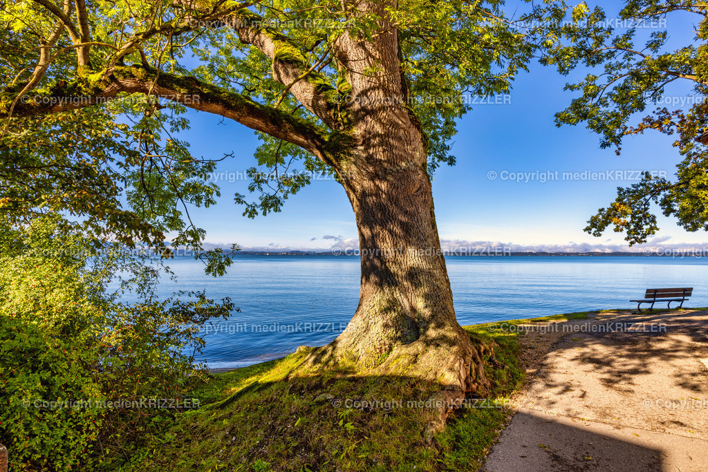 _J3A5922 | medienkrizzler - Realisiert mit Pictrs.com