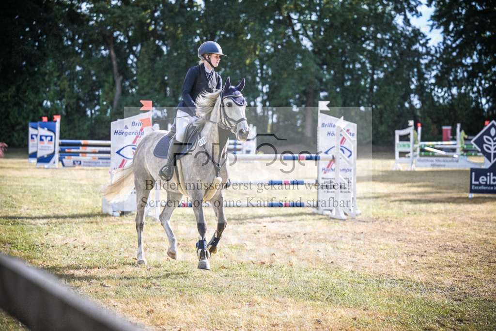 DOS_0081 | Entdecke hochwertige Reitturnierfotos von Foto Oger. Professionell, emotional und authentisch – jetzt Lieblingsmomente im Shop bestellen.Deutschlandweite Turnierfotografie. - Realisiert mit Pictrs.com