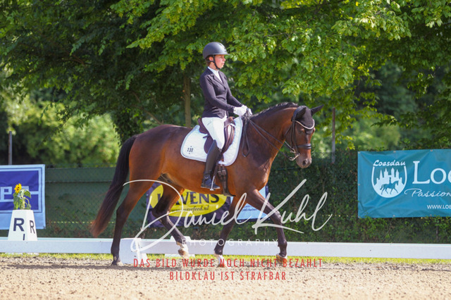 DKP41115 | Turniersportfotografie; Pferdefotografie; Dressurfotografie