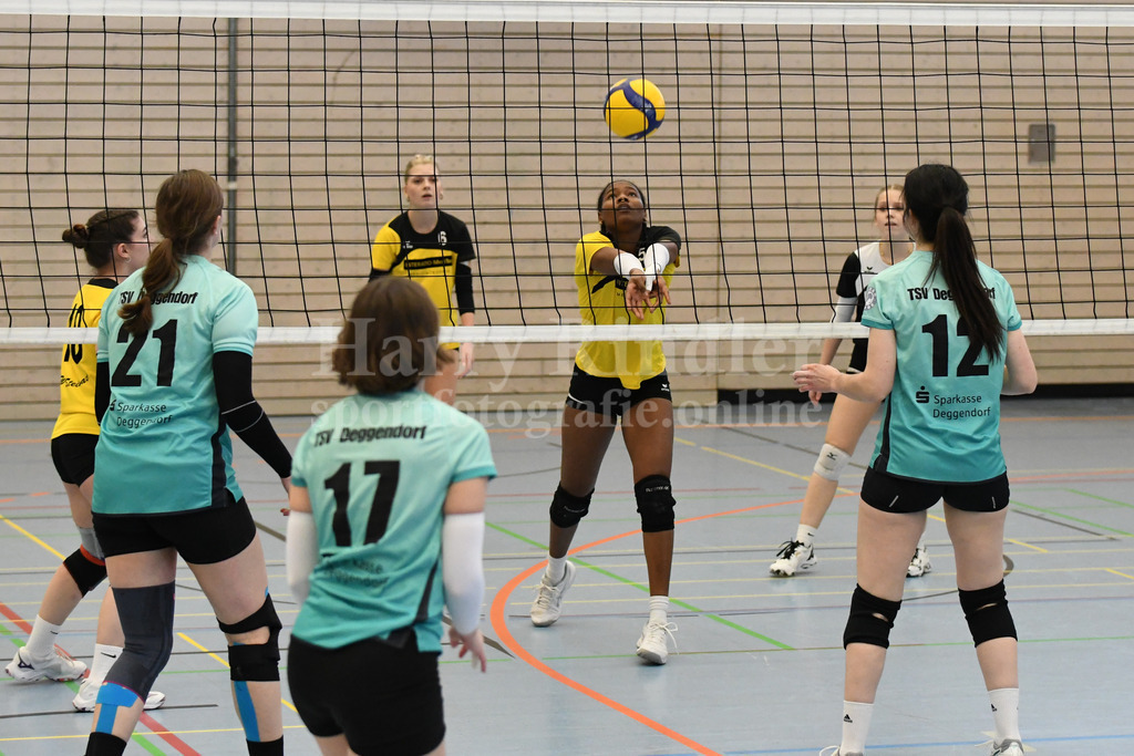 TSV Deggendorf Damen  : FC Ruderting | TSV Deggendorf Damen Volleyball - Realisiert mit Pictrs.com