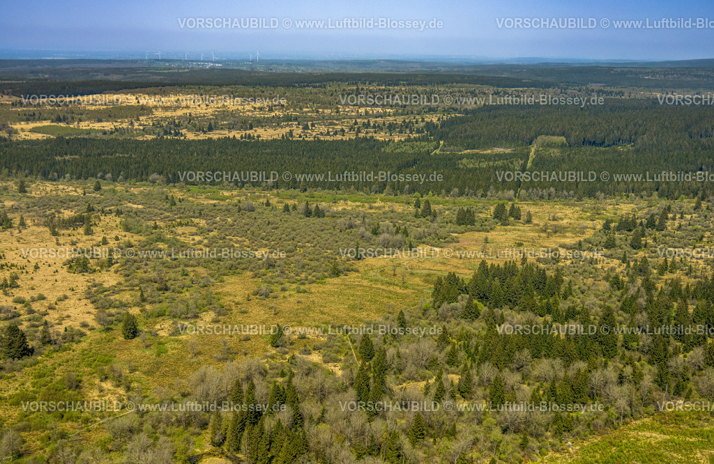 Monschau240502343HohesVenn | Luftbild, Hohes Venn Naturpark Eifel, Hochfläche bei Mützenich Landschaftsschutzgebiet, Vennhochfläche Wiesen und Felder Moorheidekomplex, Grenzgebiet Deutschland-Belgien, Mützenich, Monschau, Nordrhein-Westfalen, Deutschland