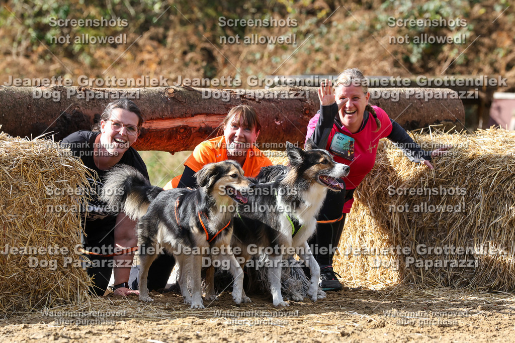 Dog Paparazzi - Strongdog 10-25-5006 | Dog Paparazzi Jeanette Grottendiek Fotografie & Videografie - Realisiert mit Pictrs.com