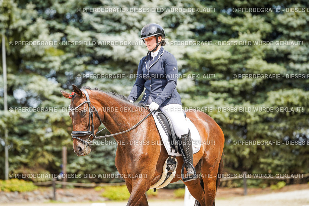 DSC03979 | Pferdegrafie