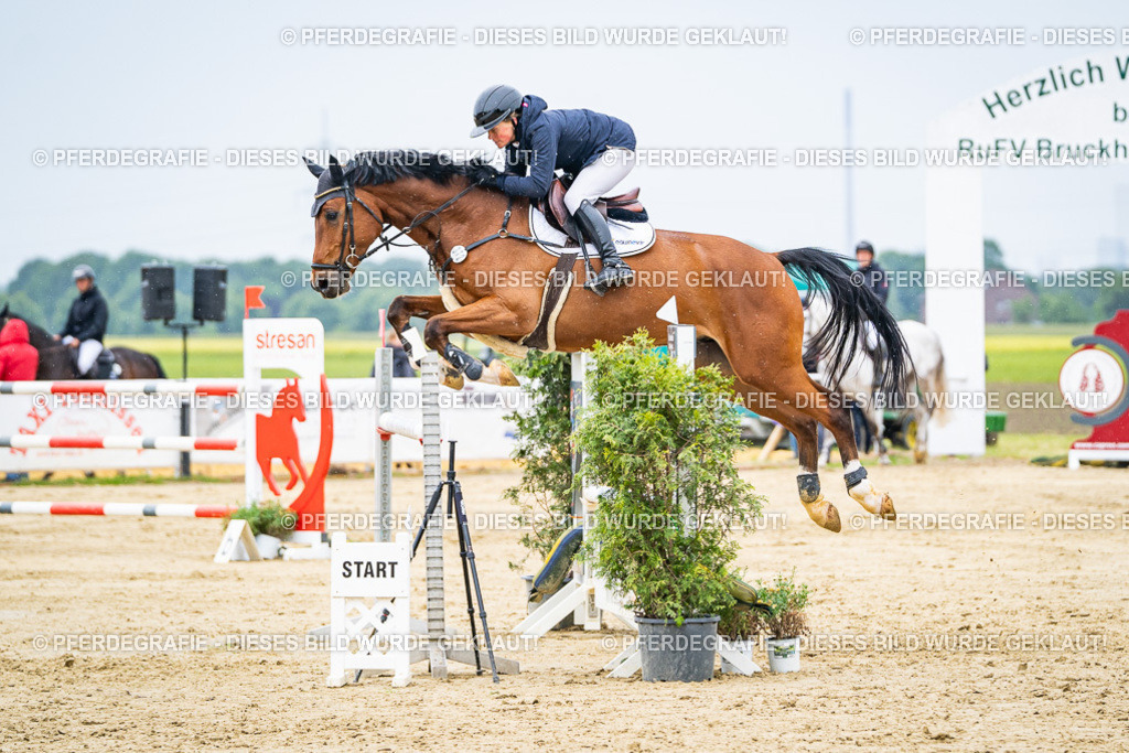 DSC07484 | Pferdegrafie