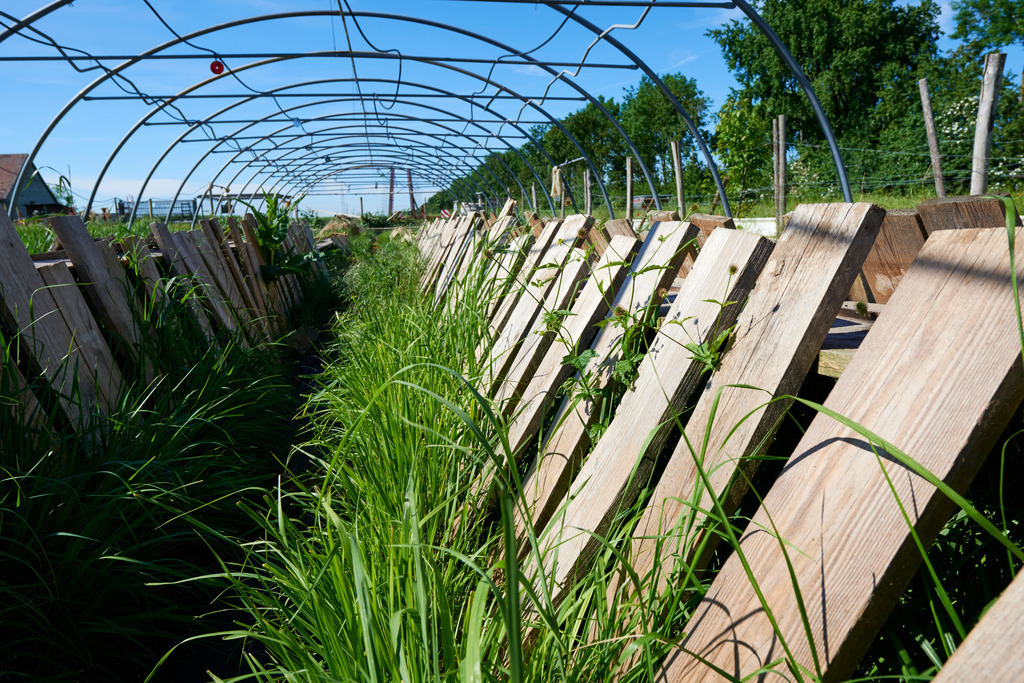 Gugumuck Wiener Schnecken Manufaktur | Wien, Austria - May 29, 2017: Gugumuck Wiener Schnecken Manufaktur;  Wiener Schneckenfarm mit Schnecke. - Realisiert mit Pictrs.com