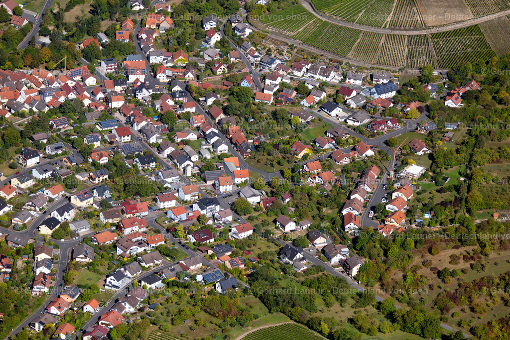 3905239 | Homburg am Main