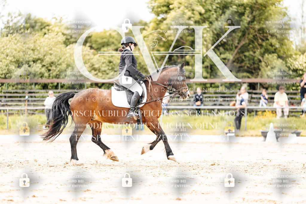 CK902841 | Turnierfotografie Pferdefotografie Trier Rheinland-Pfalz Pferdesport Reitsport Tierfotografie Sportfotografie Pferdevideo Pferdevideografie Equestrianvideography equestrianphotography  - Realisiert mit Pictrs.com