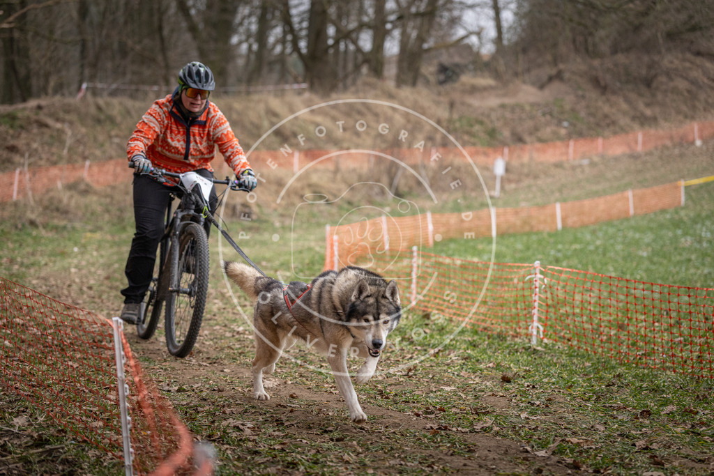 Pfotenfotografie_DV3A6315 | Hundefotografie, Tierfotograf, Pfotenfotografie, Fotoshooting Hund, Hunde Portrait, Hundesport, Hundeportraits, Heideshooting, Hunde, Sportfotograf, Hundefotograf, Turnierhundsport, THS,  - Realisiert mit Pictrs.com