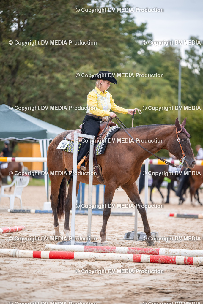 ZS3_4703 | dv-media-shop - Realisiert mit Pictrs.com