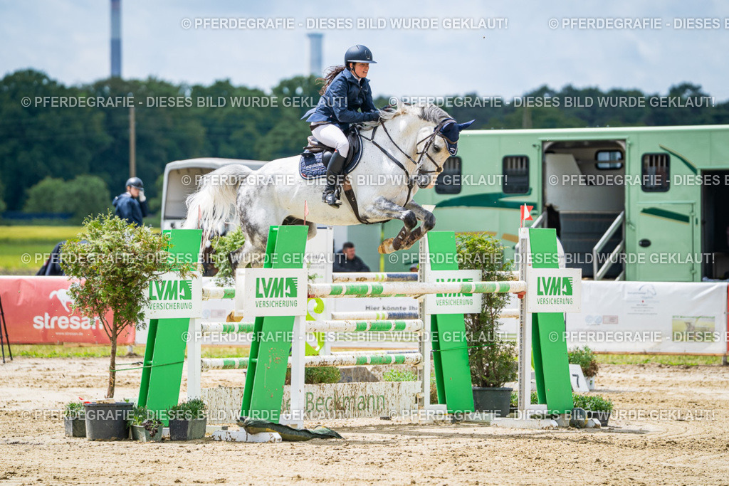 DSC04672 | Pferdegrafie