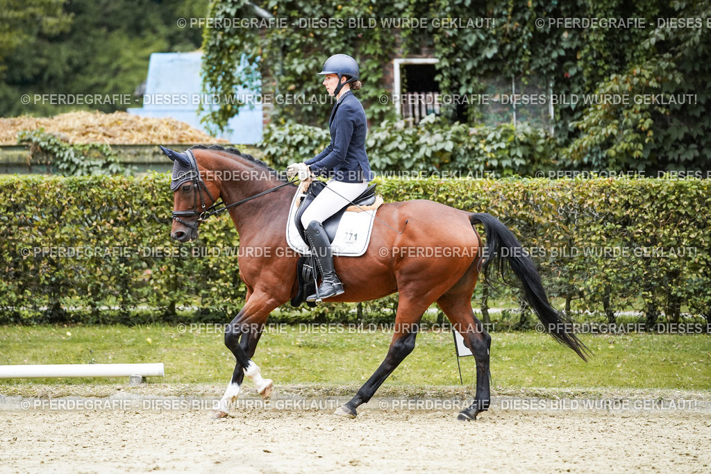 DSC00357 | Pferdegrafie