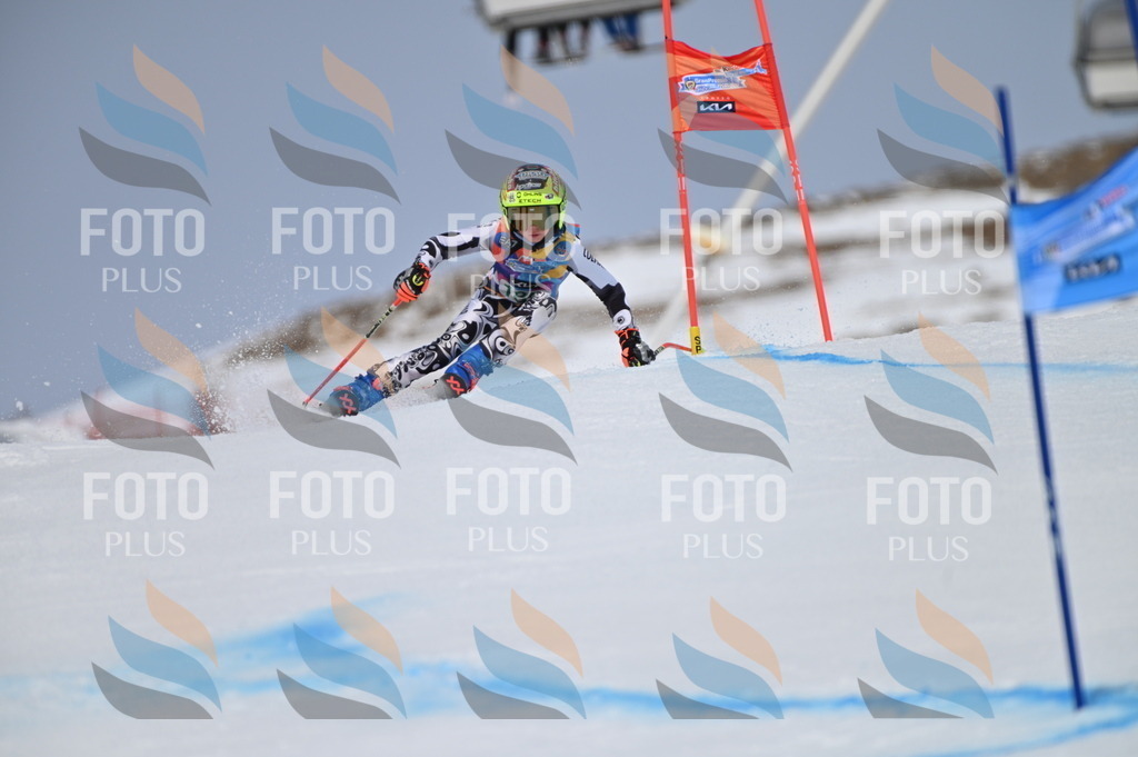 BGV_3611 | holidayphoto