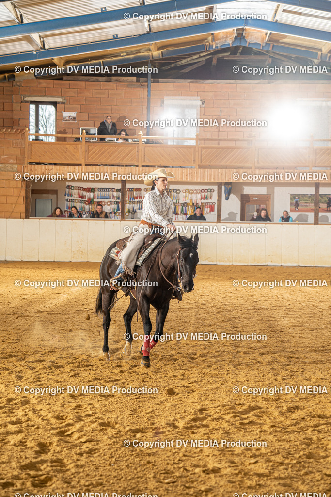 MIT00753 | dv-media-shop - Realisiert mit Pictrs.com