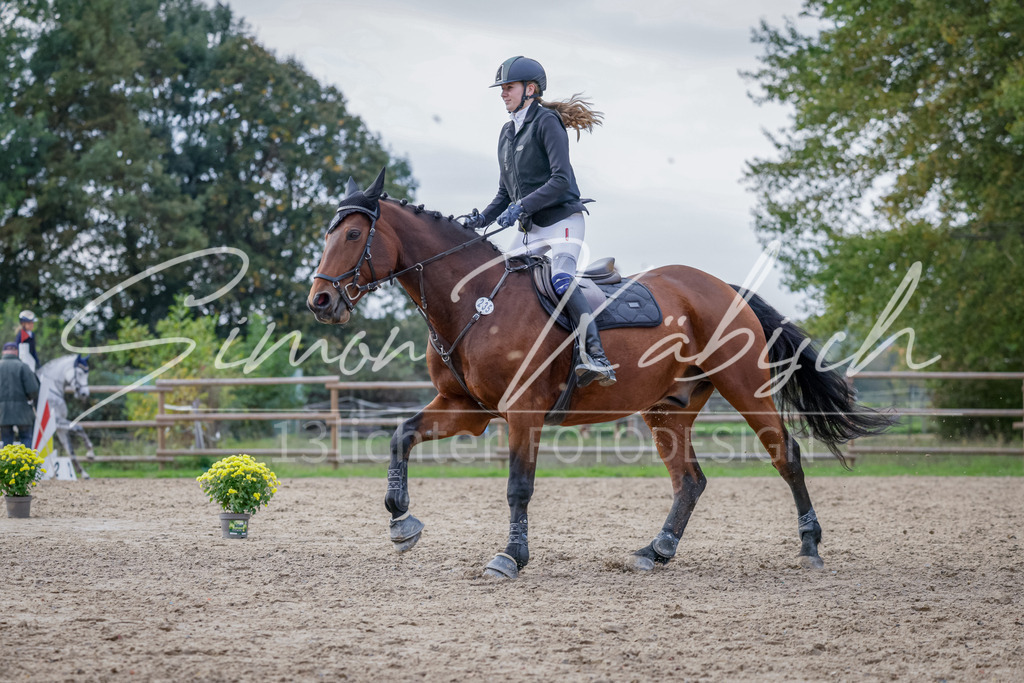 20251012-_3LI5481 | Tierfotografie Pferde, Hunde, Katzen, Haustiere.
Turnierfotografie Reitturniere, Reiten, Springreiten, Dressur in Hanau, dem Main-Kinzig-Kreis und dem Rhein-Main- Gebiet um Frankfurt