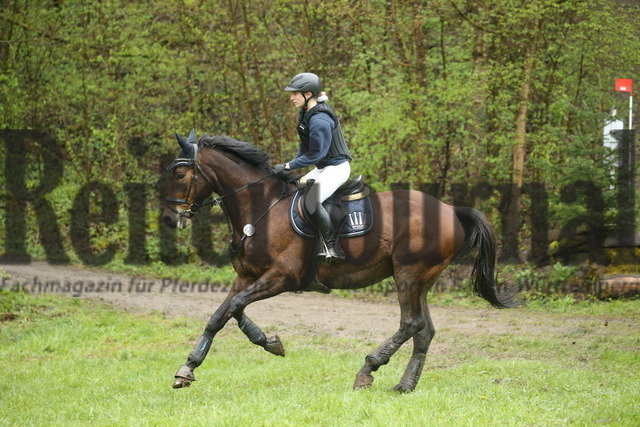 Kirchberg_2023_Stilgeländeritt_Kl.L_Ines Hinderer_Gino 600 (13) | Alle Fotos der Reiterjournal Fotografin Doris Matthaes im Reiterjournal Online-Fotoshop. - Realisiert mit Pictrs.com