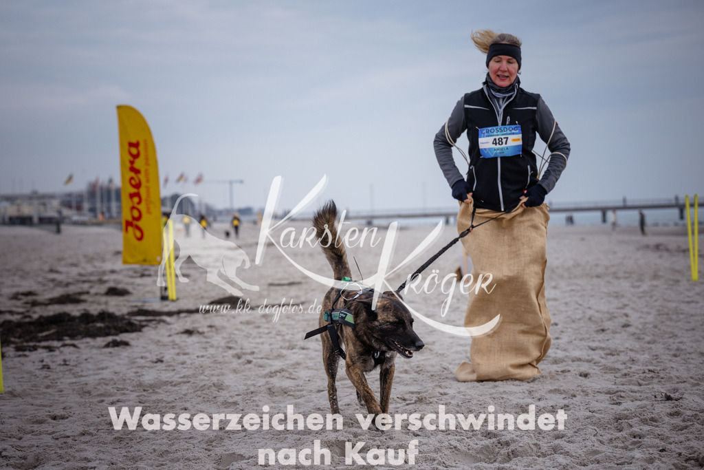 1205_ZZ91983 | kk-dogfotos