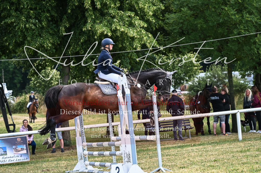 DSC_8121 | Pferde- und Turnierfotografie in Westsachsen. Pferdeportraits, Auftragszeichnungen und intuitive Kunst.