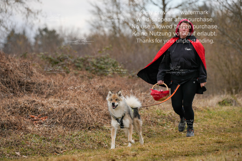 Fasching-65 | stephaniefillaphotographie - Realisiert mit Pictrs.com