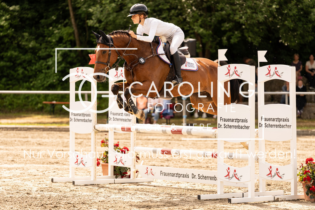 DSC02445 | Carolin Gieschke