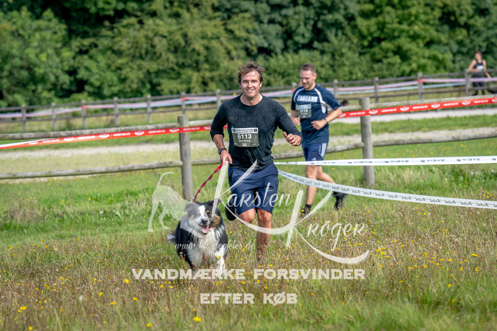 1215_ZZ93195 | kk-dogfotos