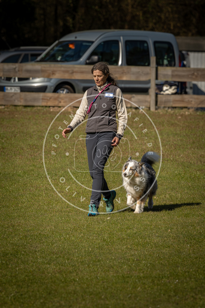 Pfotenfotografie_DV3A0508 | Hundefotografie, Tierfotograf, Pfotenfotografie, Fotoshooting Hund, Hunde Portrait, Hundesport, Hundeportraits, Heideshooting, Hunde, Sportfotograf, Hundefotograf, Turnierhundsport, THS,  - Realisiert mit Pictrs.com