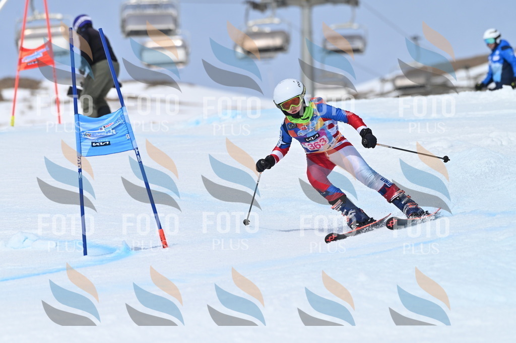 BGV_3897 | holidayphoto